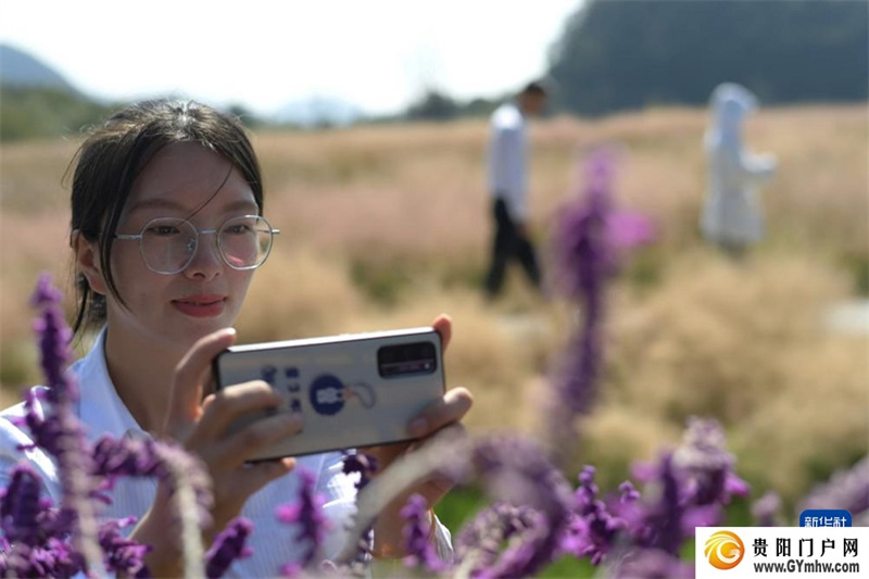 贵州百里杜鹃：拓展旅游业态 激活秋冬旅游季