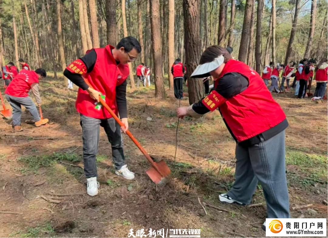 贵阳市白云区开展植树节志愿服务活动(图4) 贵阳市白云区开展植树节志愿服务活动(图4)