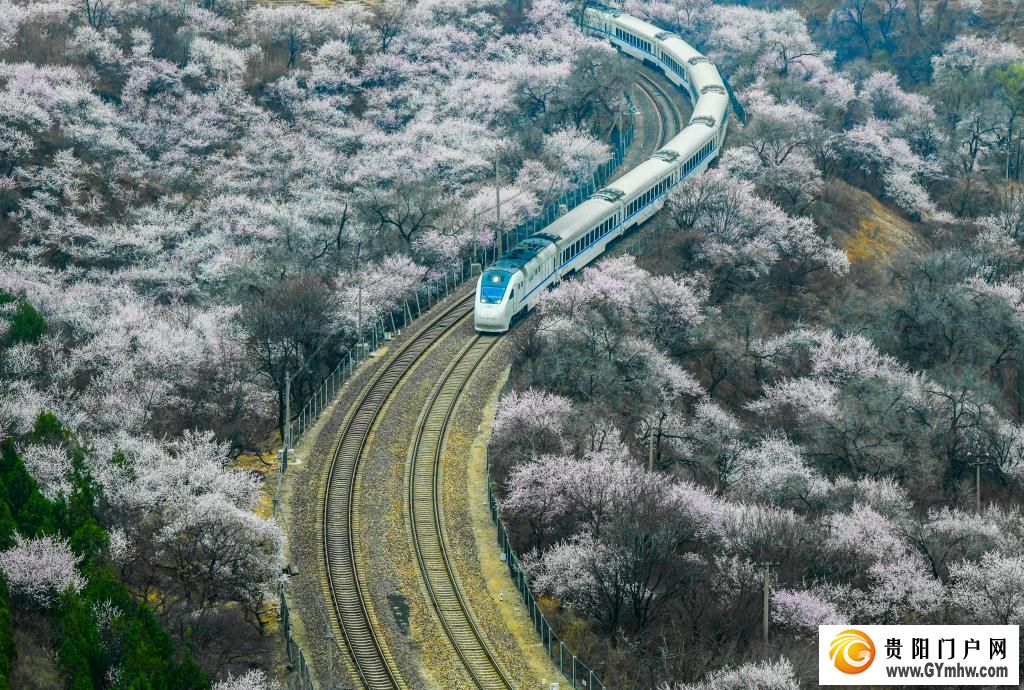 快出发!这些地方陆续美成仙境!(图10) 快出发!这些地方陆续美成仙境!(图10)