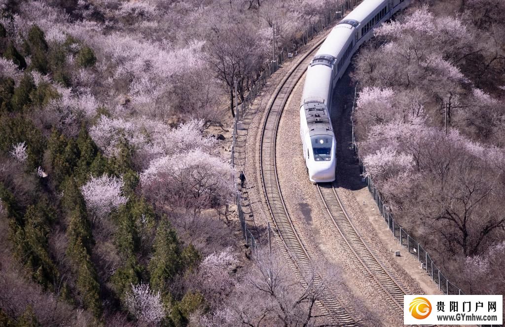 快出发!这些地方陆续美成仙境!(图11) 快出发!这些地方陆续美成仙境!(图11)