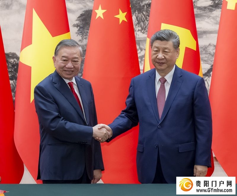 习近平同越共中央总书记、国家主席苏林举行会谈(图3) 习近平同越共中央总书记、国家主席苏林举行会谈(图3)