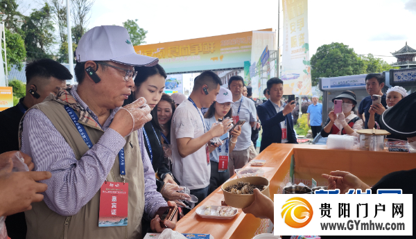 第十二届安顺旅游产业发展大会开幕(图10) 第十二届安顺旅游产业发展大会开幕(图10)