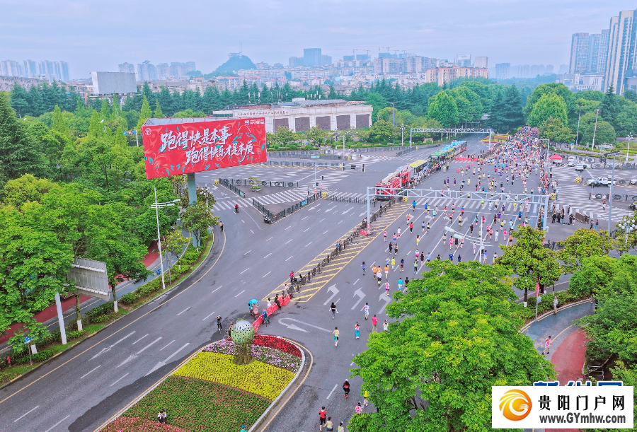 原来你是这样的“贵马”(图23) 原来你是这样的“贵马”(图23)