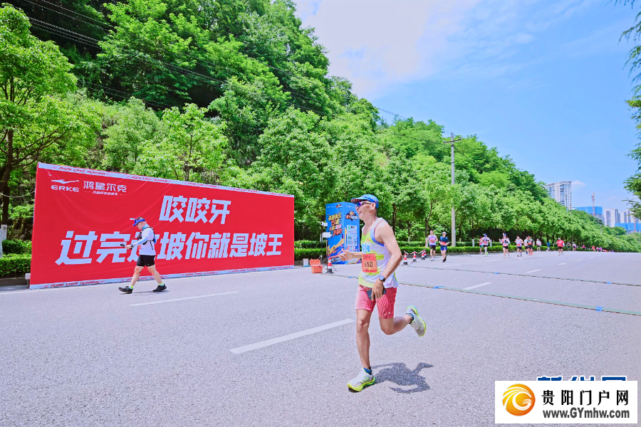 原来你是这样的“贵马”(图12) 原来你是这样的“贵马”(图12)